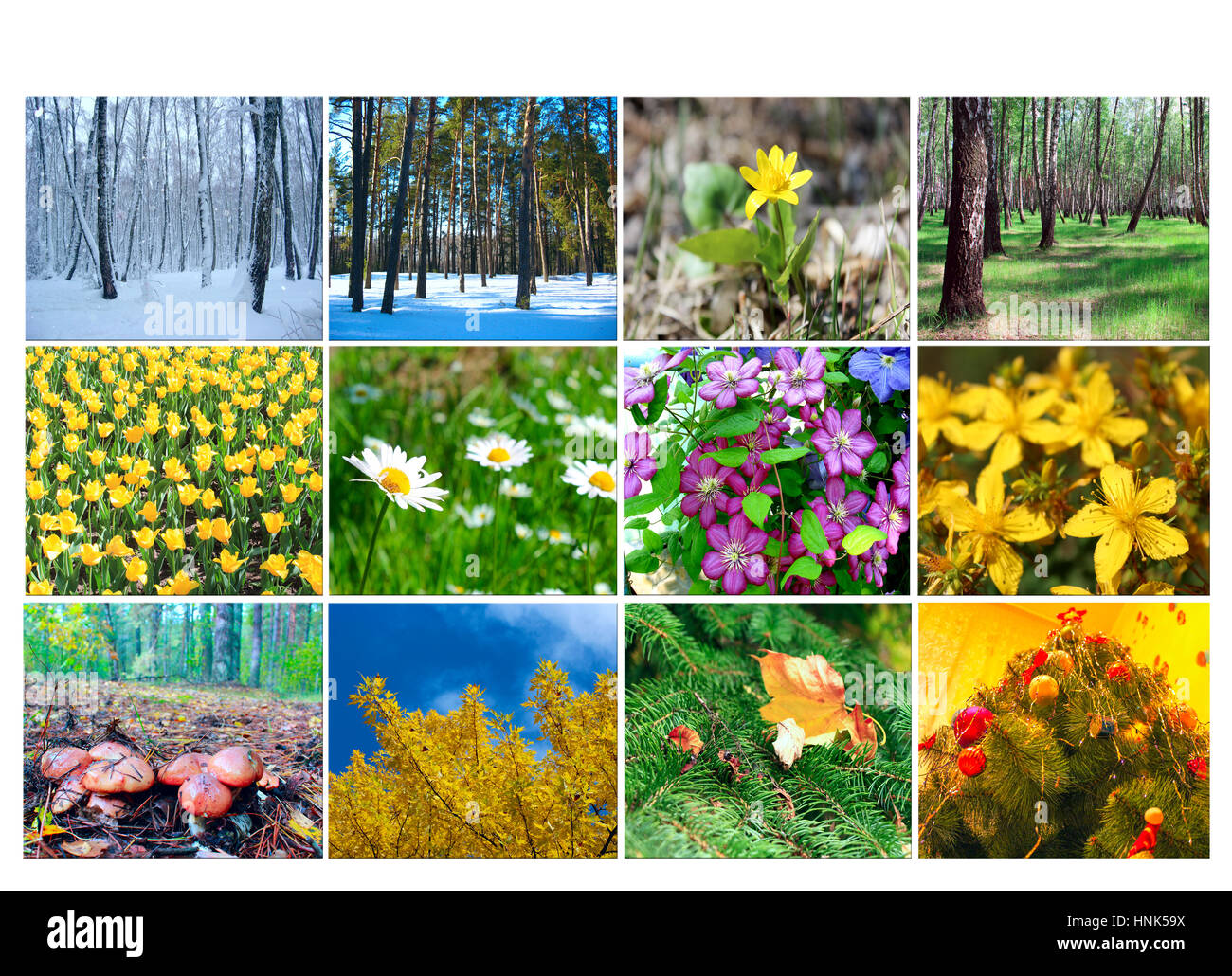mit verschiedenen zwölf farbigen Bildern der Natur für Kalender leer Stockfoto