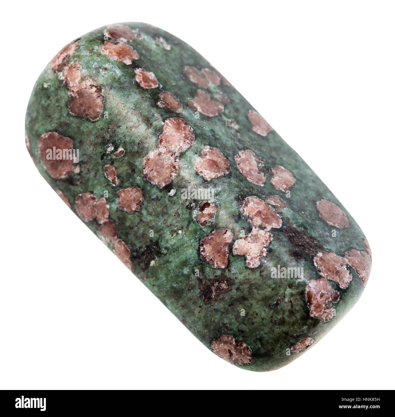 Makro-Aufnahmen der geologischen Sammlung Mineral - Trommelsteine Eklogit Stein (rosa Granat Almandin-Pyrop Kristalle in grünen Matrix aus Pyroxen, Omphazit Stockfoto