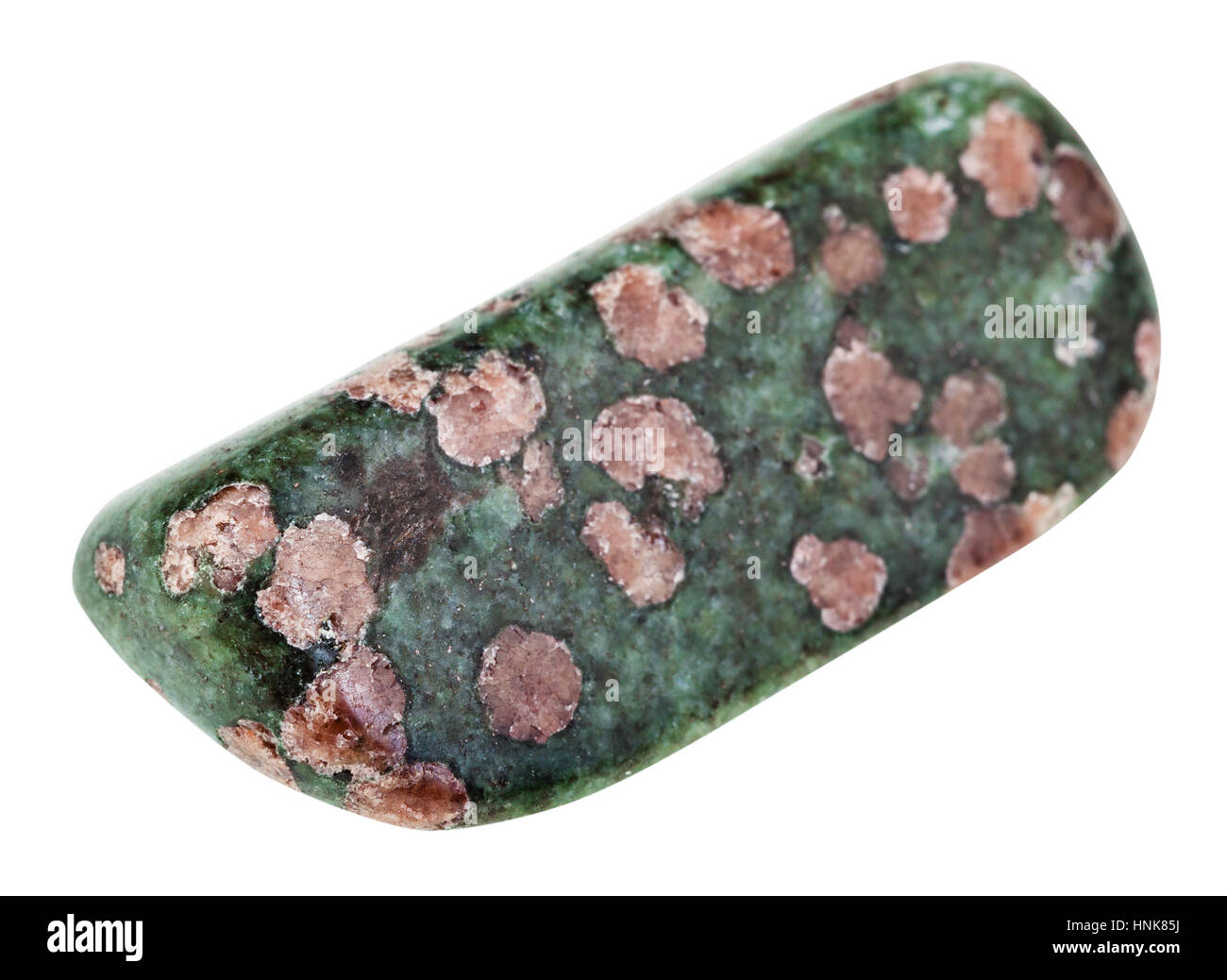 Makro-Aufnahmen der geologischen Sammlung Mineral - Eklogit Polierstein (rosa Granat Almandin-Pyrop Kristalle in grünen Matrix aus Pyroxen, omphacit Stockfoto