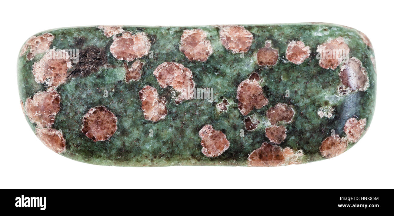 Makro-Aufnahmen der geologischen Sammlung Mineral - Kiesel Eklogit Stein (rosa Granat Almandin-Pyrop Kristalle in grünen Matrix aus Pyroxen, omphaci Stockfoto