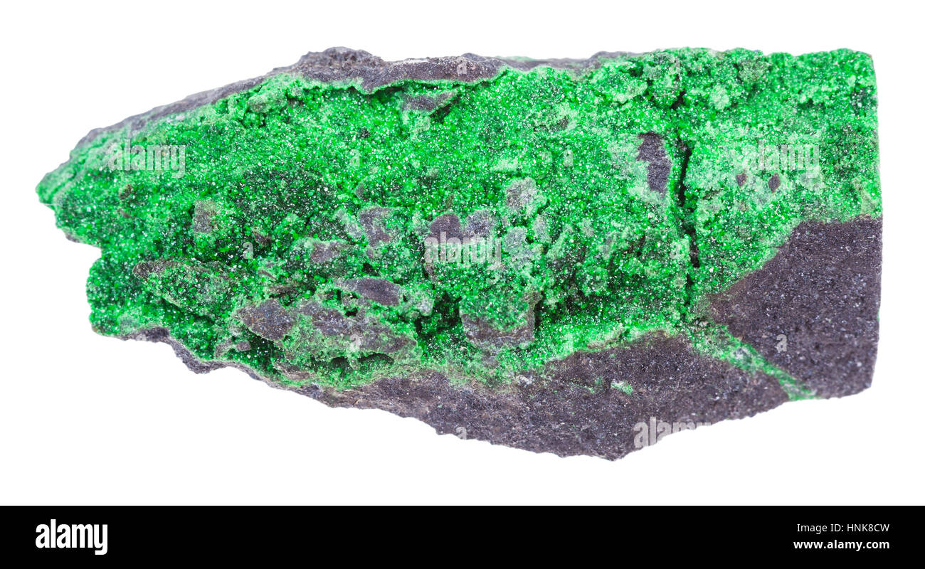 Makro-Aufnahmen der geologischen Sammlung Mineral - Druse Uvarovite Kristalle auf Stein isoliert auf weißem Hintergrund Stockfoto