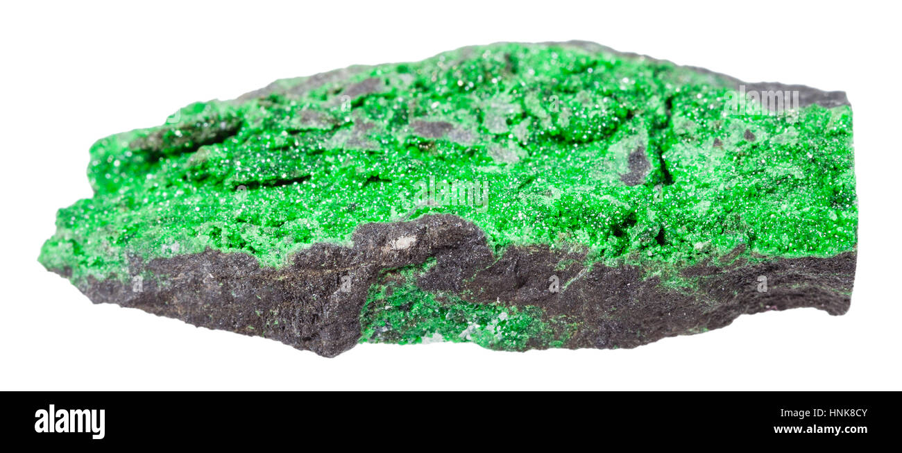 Makro-Aufnahmen der geologischen Sammlung Mineral - Druse Uvarovite Kristalle auf Felsen isoliert auf weißem Hintergrund Stockfoto