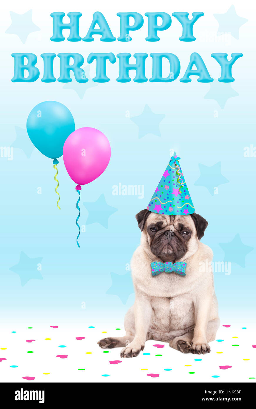 niedliche konfrontiert mürrisch Mops Welpen Hund mit Party Hut,  Luftballons, Konfetti und Text happy Birthday, auf blauem Hintergrund  Stockfotografie - Alamy