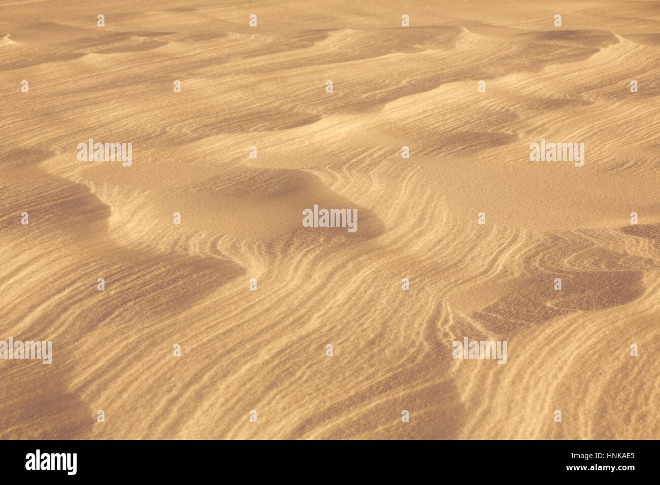 Wüste Sand Oberfläche natürlichen Hintergrund Stockfoto