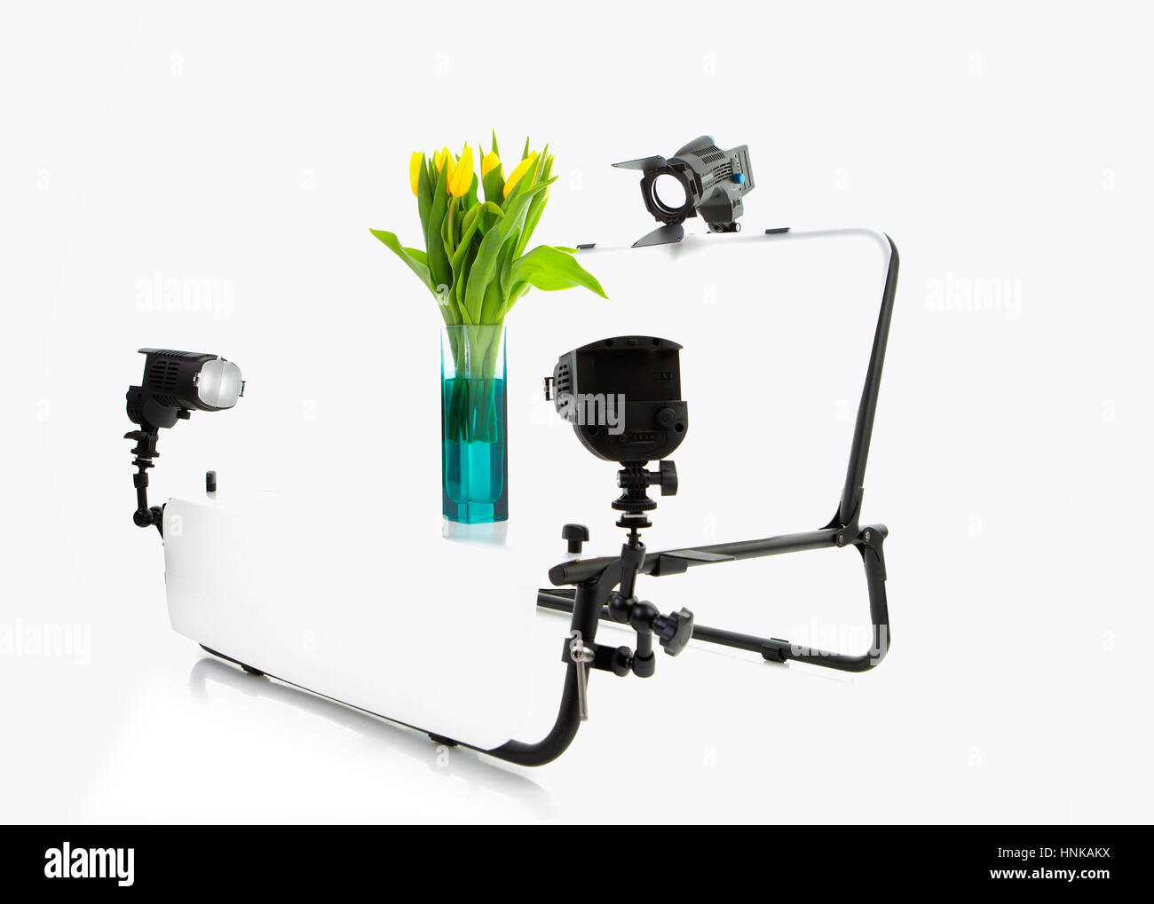 Still Life Foto Aufnahmetisch mit Lichtern und Tulpen, isoliert auf einem weißen Hintergrund für eBay, Amazon oder Produkt photograpy Stockfoto