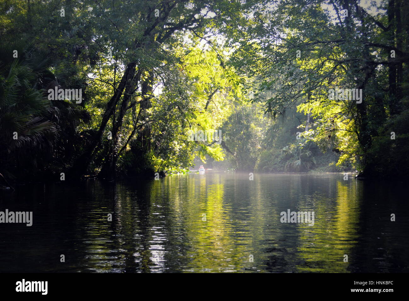 Wekiwa Springs, Florida State Parks in Orlando, Florida, USA Stockfoto
