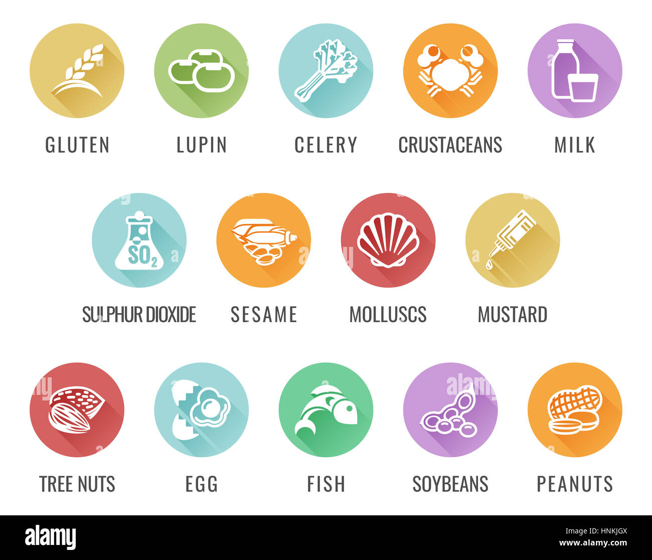 Lebensmittel-Allergie Ikonen einschließlich 14 Allergien beschrieben durch die EU-Lebensmittel-Informationen für Verbraucher Verordnung EFSA europäische Lebensmittel Sicherheit Behörde Anhang ich Stockfoto