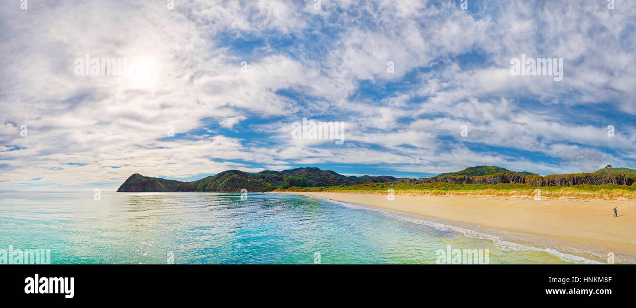 Gold gelbe Sandstrand der Awaroa Bay, Abel Tasman Nationalpark, Tasman Region Southland, Neuseeland Stockfoto