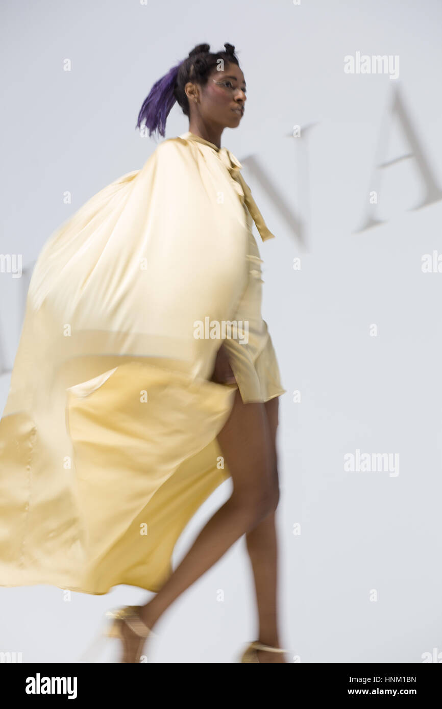 Style Fashion Week NewYork Februar 2017 Stockfoto