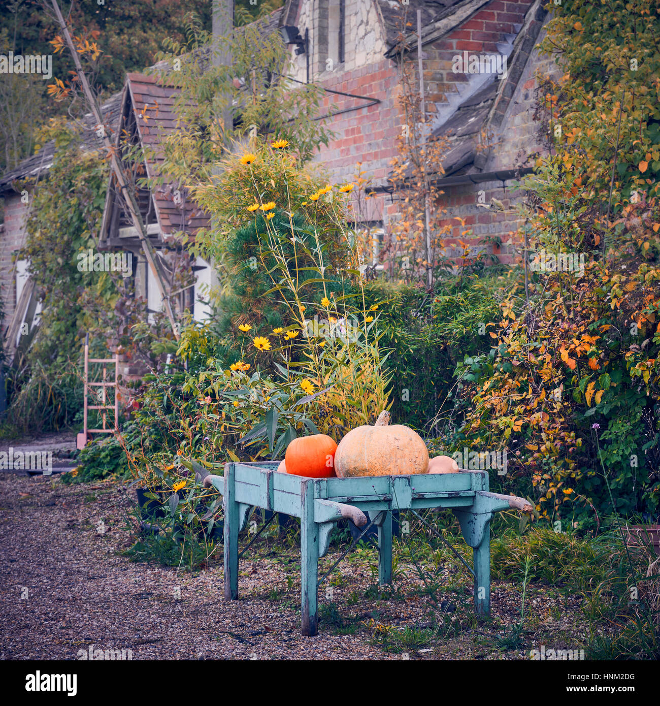 Einen Wagen mit Kürbissen außerhalb einer ländlichen Berghütte im Herbst Stockfoto