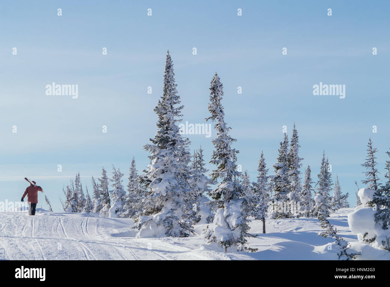 Mann im Skianzug holding-Mountain-ski Stockfoto