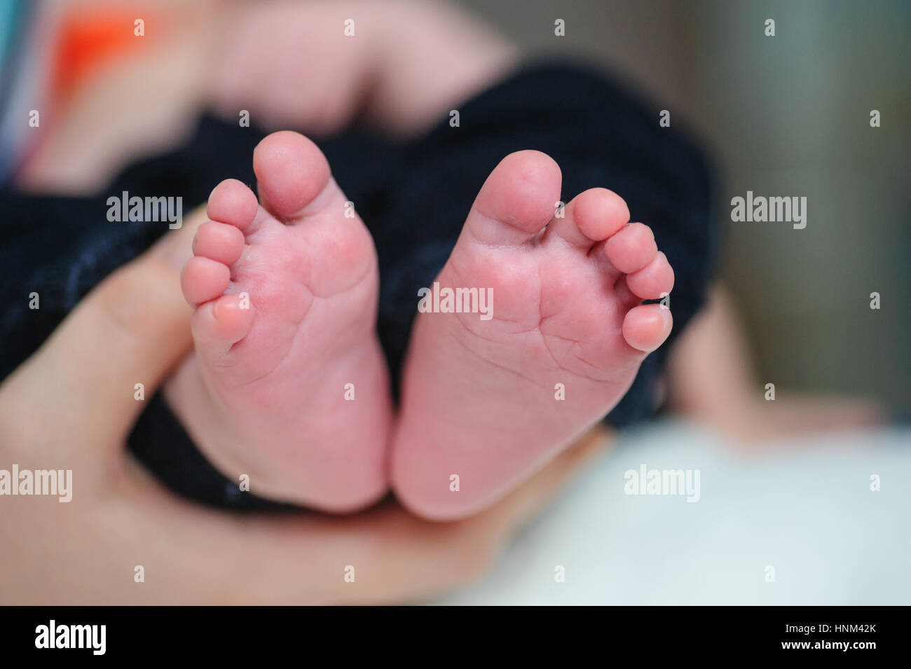 Mutter Hände halten Babys Füße Stockfoto
