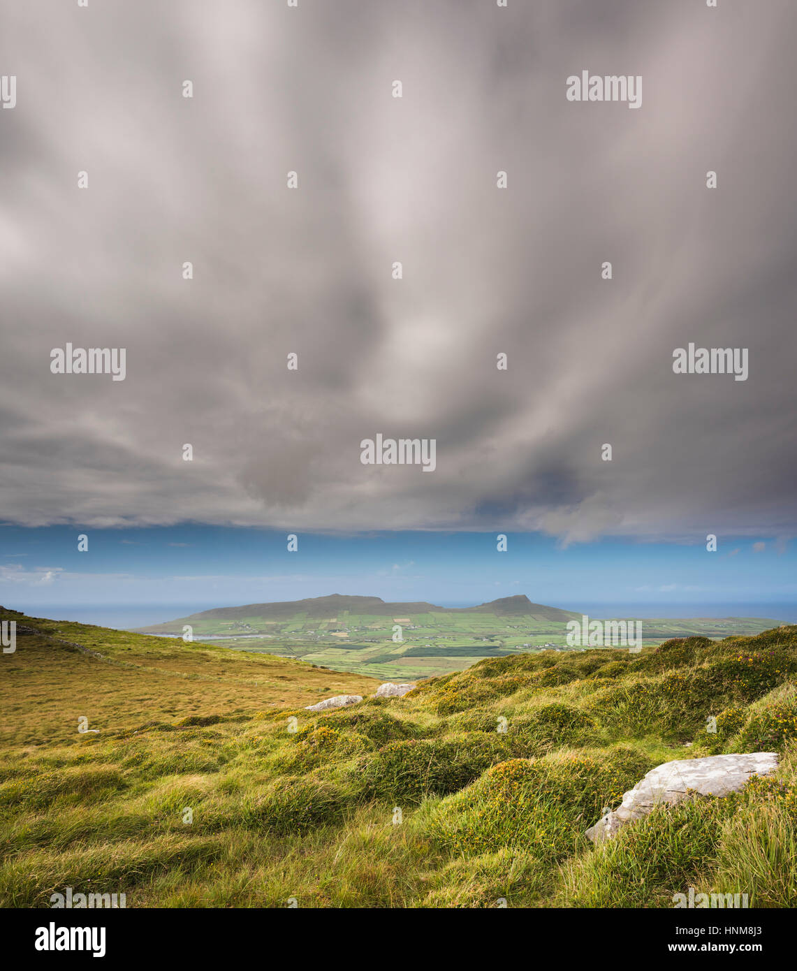 Blick über die Berge, Moor und Heide der westlichen Halbinsel Dingle aus den Wanderweg auf der Oberseite Reenconnell, County Kerry, Irland Stockfoto