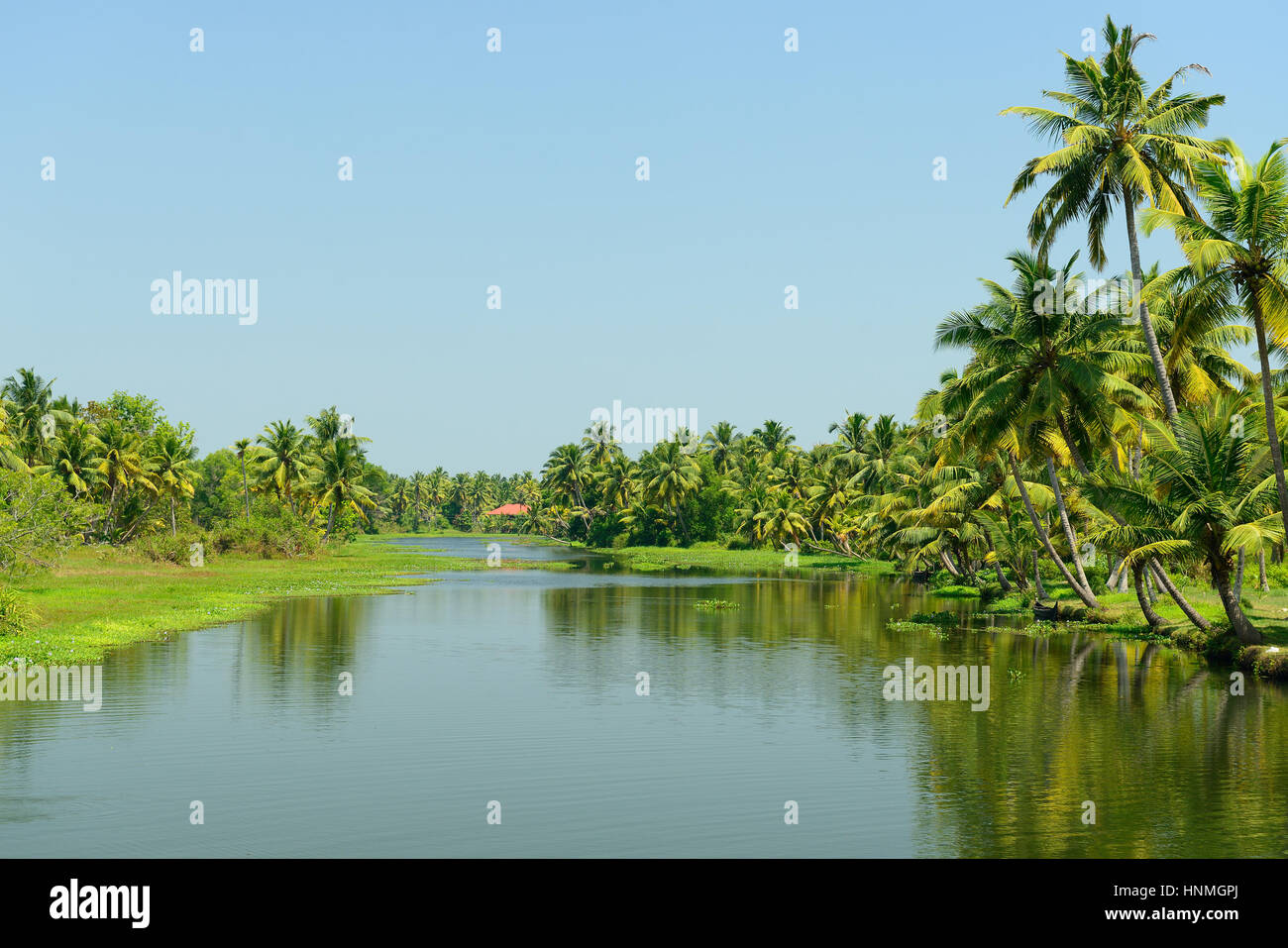 Indien, Coco Bäume Reflexion und beautifoull Haus Boot an Zurück Gewässer in Kerala Stockfoto