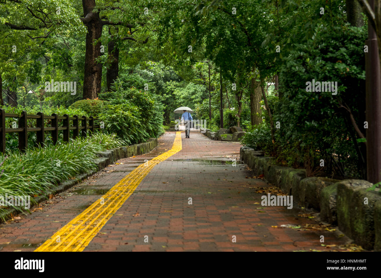 Mann mit Regenschirm im Hibiya-Park in Tokio, Japan. Stockfoto