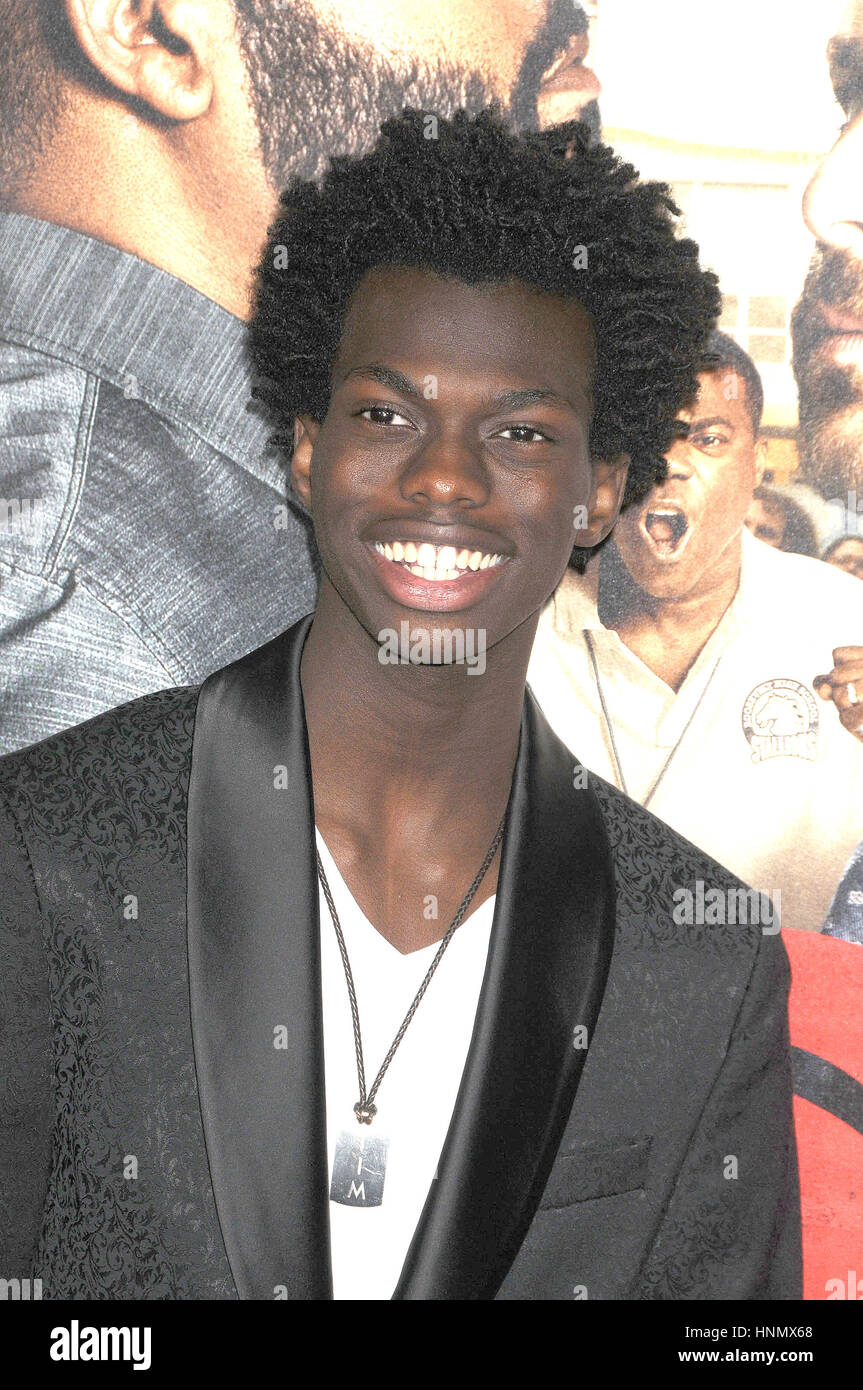 Los Angeles, Kalifornien, USA. 13. Februar 2017. Schauspieler TIM JOHNSON Jr. bei der '' Kampf '' Faust Premiere im Regency Village Theater, Westwood CA Kredit statt: Paul Fenton/ZUMA Draht/Alamy Live News Stockfoto