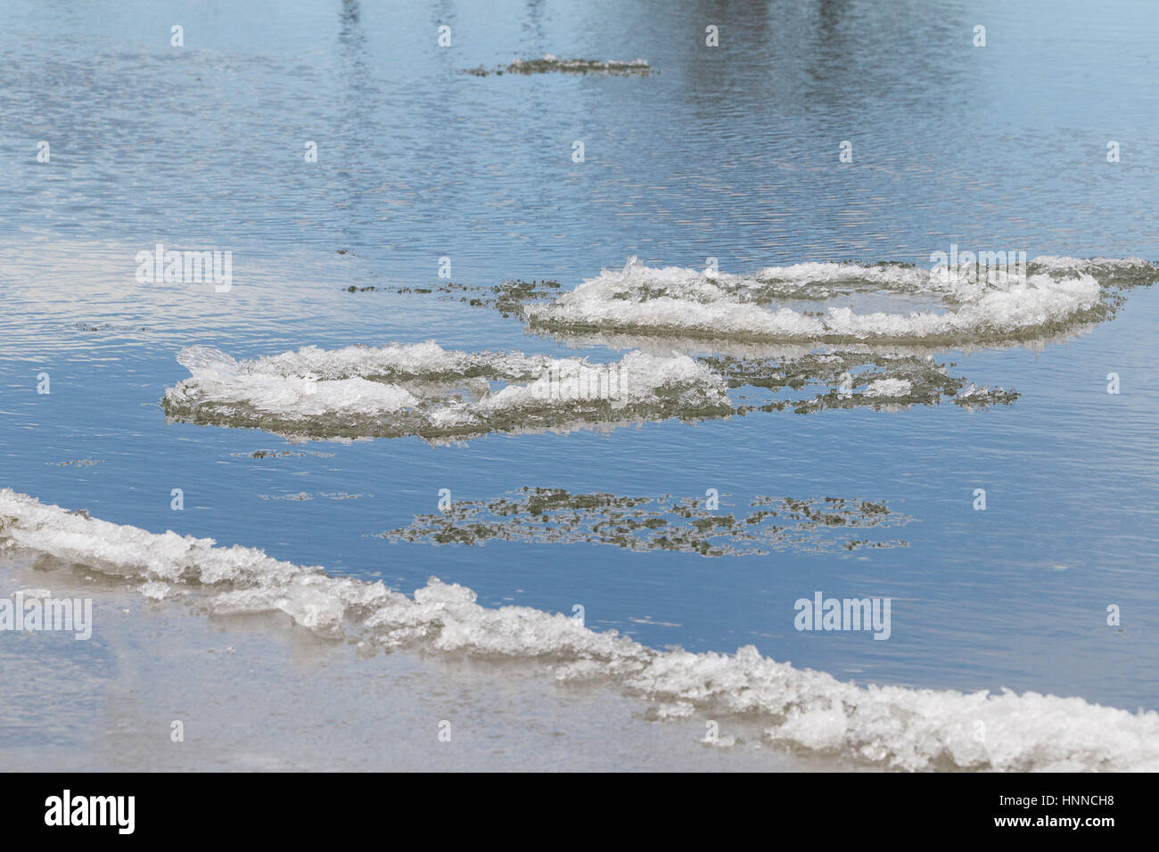 Rotierender Klumpen von Eis schweben vorbei an einer Eisdecke am Ufer des Missouri River, Great Falls, Mt. Stockfoto