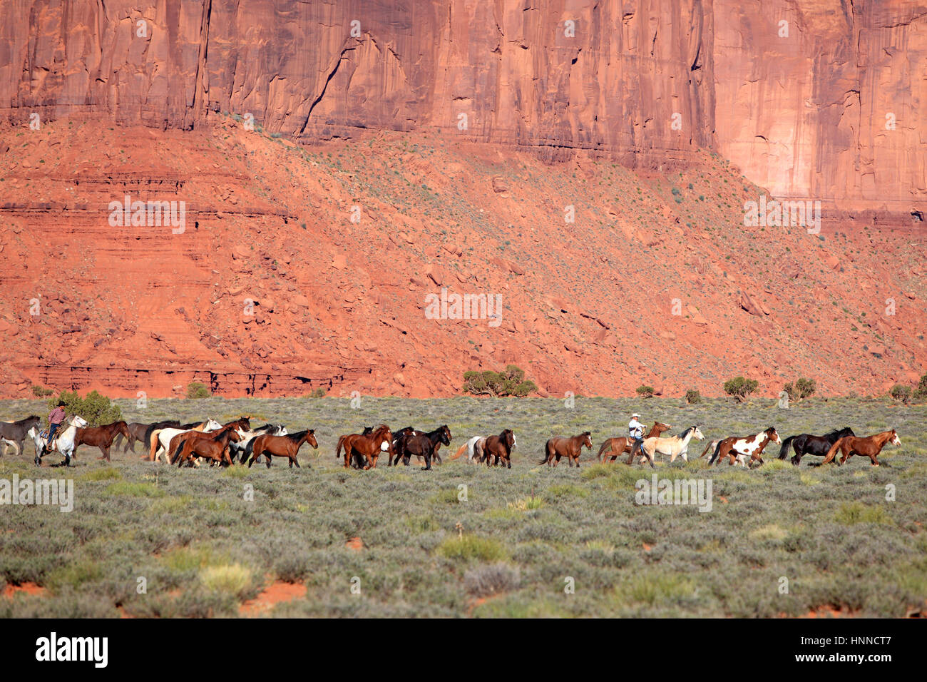 Navajo-Cowboy, Mustang, (Equus Caballus), Monument Valley, Utah, USA, Nordamerika, Cowboy und Mustang Stockfoto