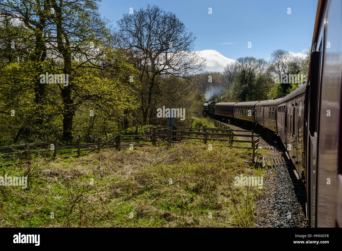 Eine traditionelle Dampfeisenbahn der North Yorkshire Moors Railway, die auf dem Weg von Whitby nach Grosmont durch Wälder führt Stockfoto