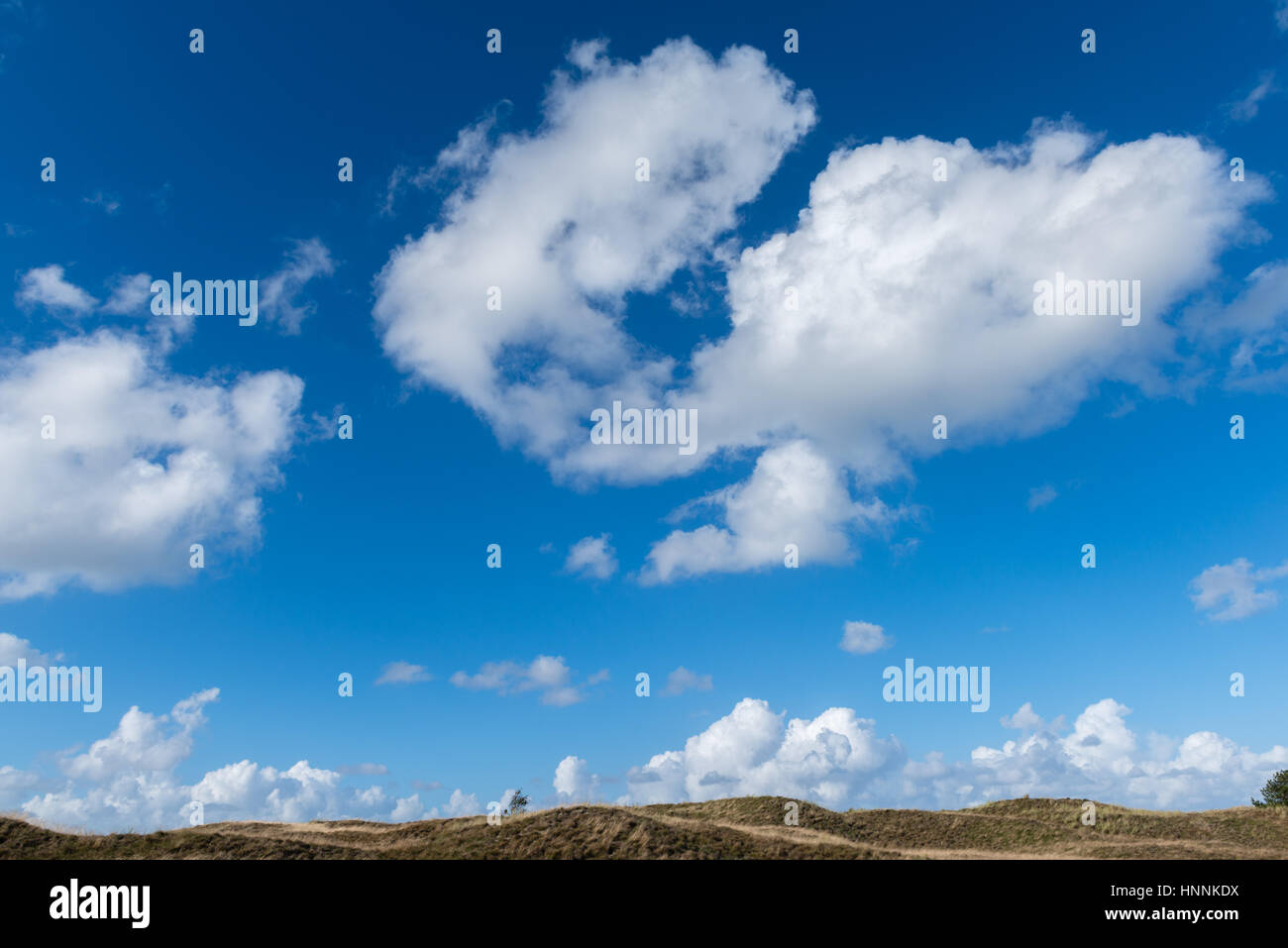 Dünen auf Mandoe Insel im dänischen Wattenmeer, Weltnaturerbe UNECSCO, Nordsee, Süd-Jütland, Dänemark Stockfoto
