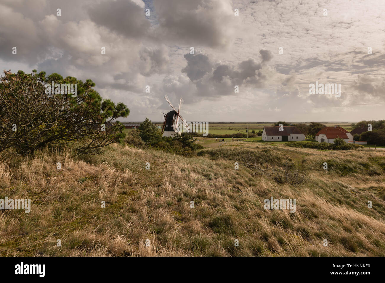 Die Windmühle von Mandoe Insel im dänischen Wattenmeer, Weltnaturerbe UNECSCO, Nordsee, Süd-Jütland, Dänemark Stockfoto