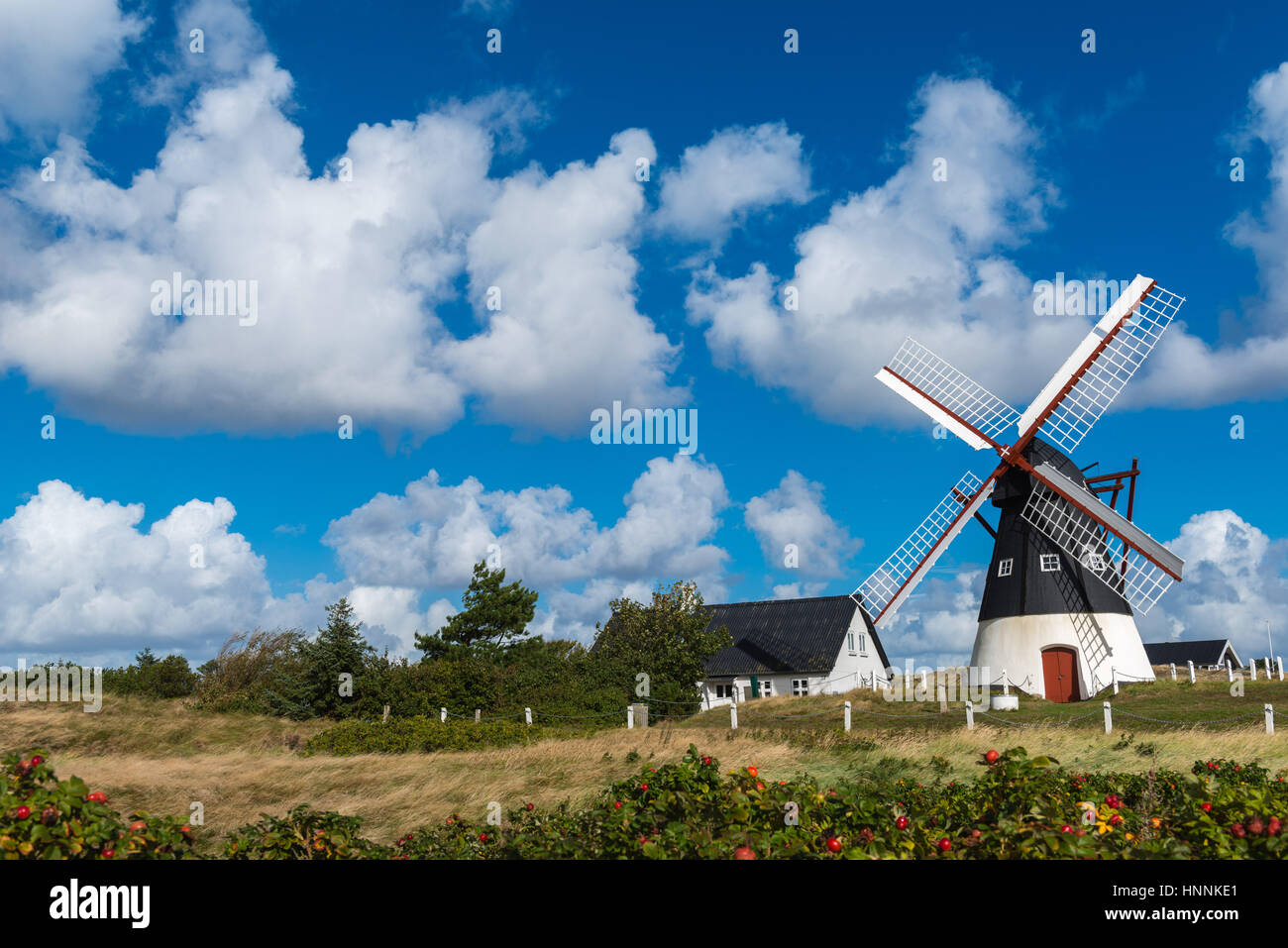 Die Windmühle von Mandoe Insel im dänischen Wattenmeer, Weltnaturerbe UNECSCO, Nordsee, Süd-Jütland, Dänemark Stockfoto