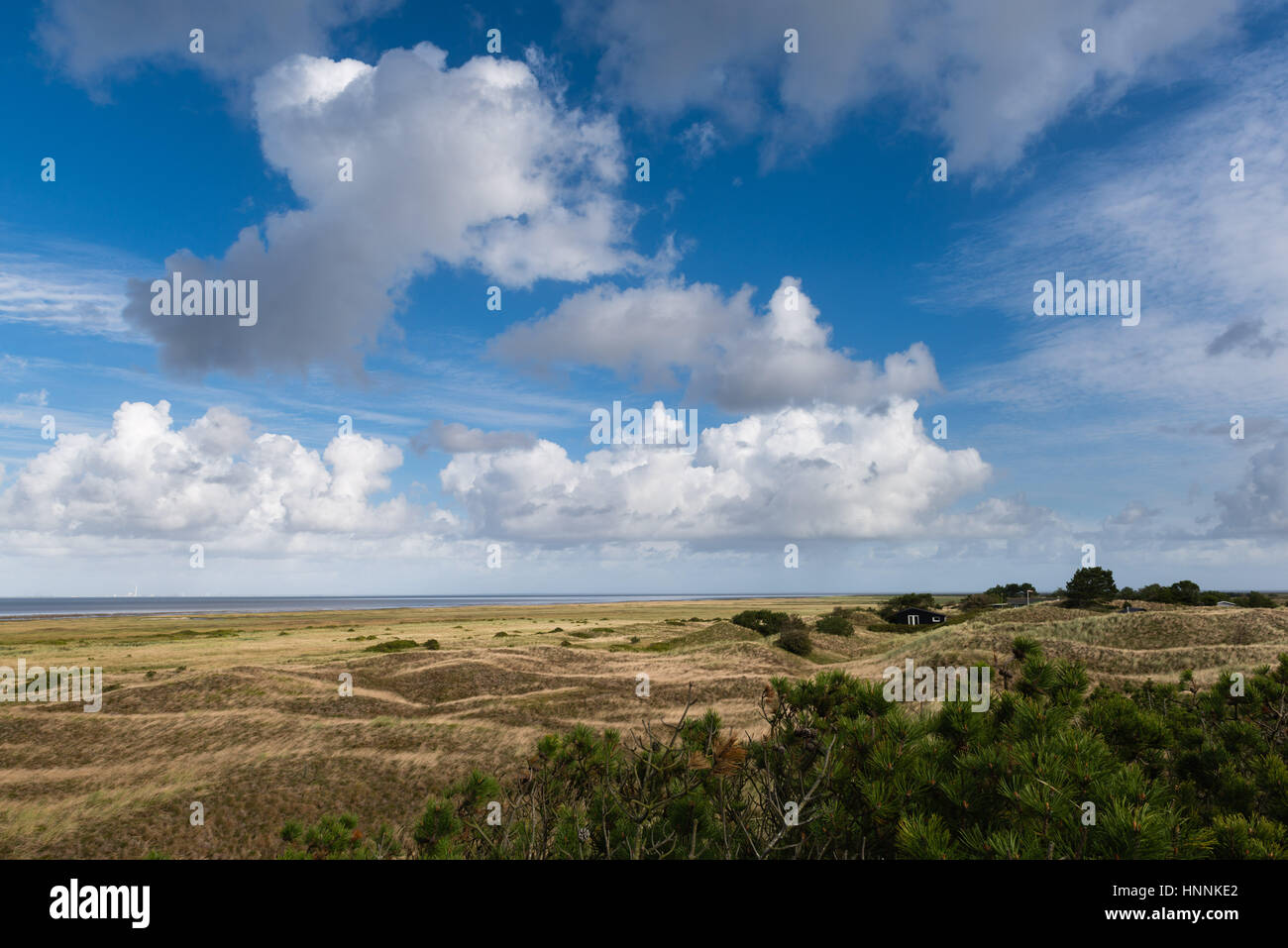 Die Sanddünen von Mandoe Insel im dänischen Wattenmeer, Weltnaturerbe UNECSCO, Nordsee, Süd-Jütland, Dänemark Stockfoto