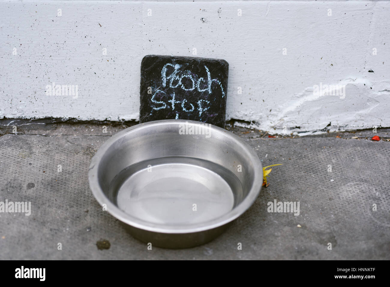 Hündchen-Stop - Trinken Schüssel für Hunde Stockfoto