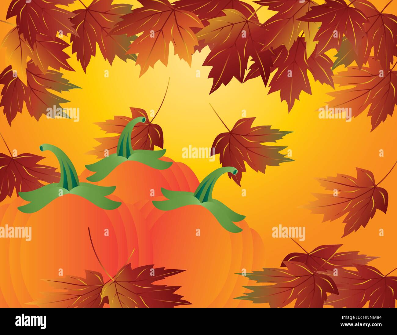 Pumpkin Patch und Ahorn Blätter fallen im Herbst Saison Abbildung Stock Vektor