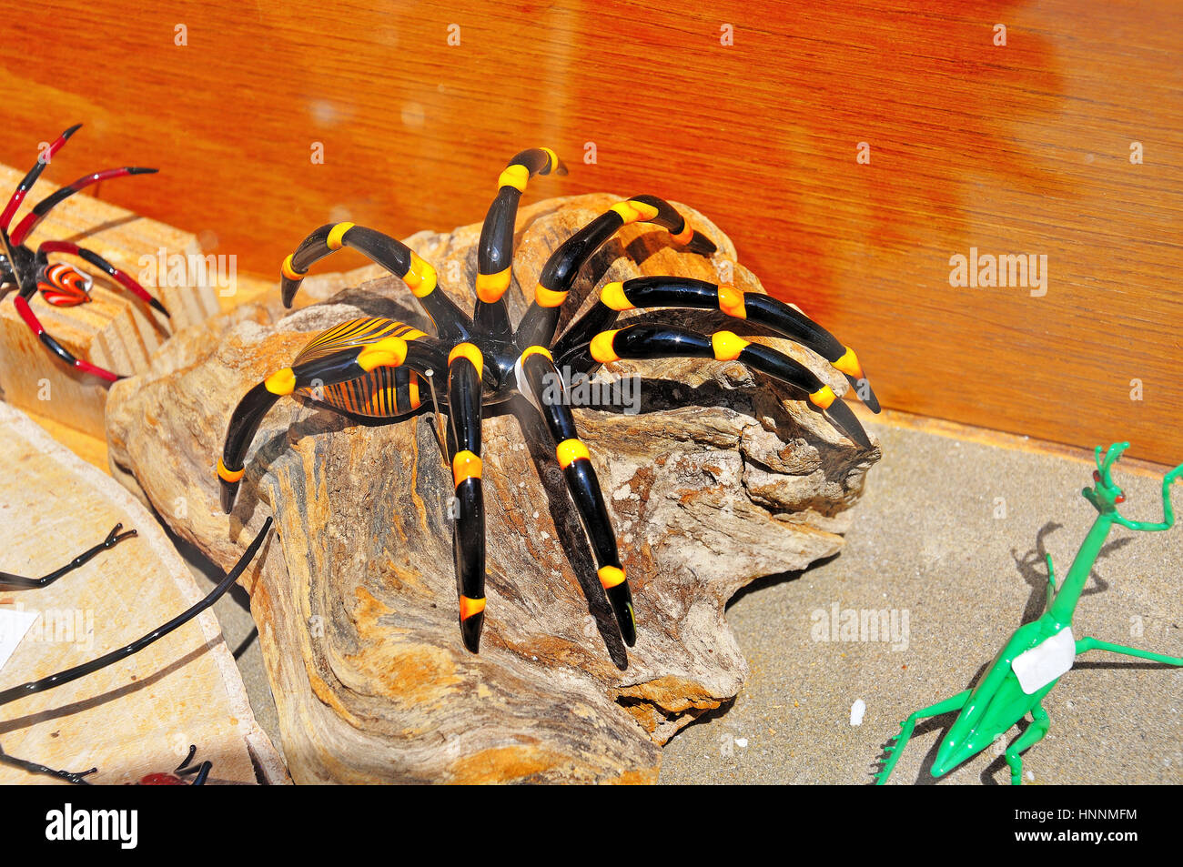 Glas-Spinne im Schaufenster auf der Muranoinsel, Italien Stockfoto