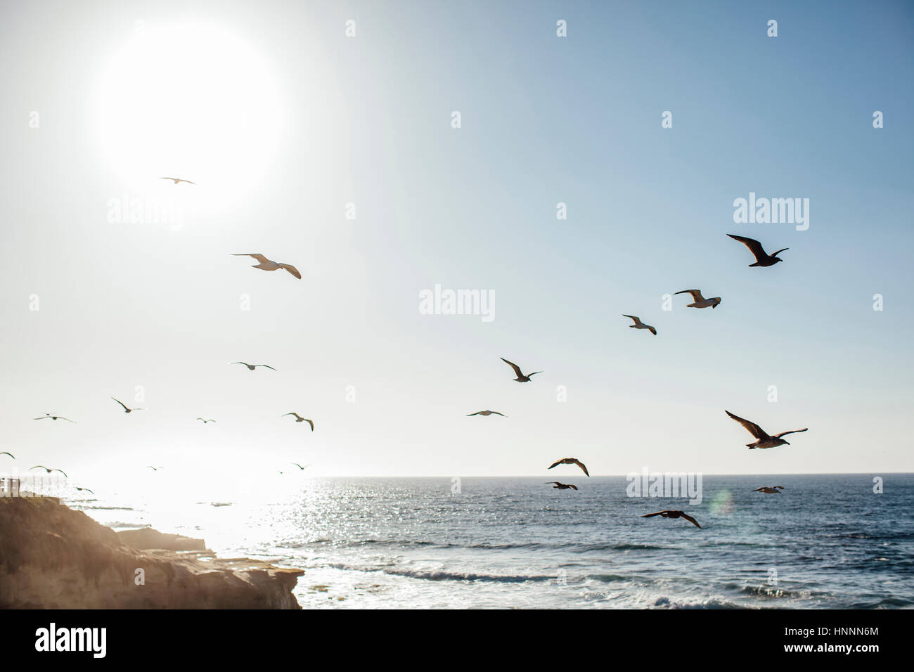 Vogelschwarm fliegt über Meer bei Sonnenuntergang Stockfoto