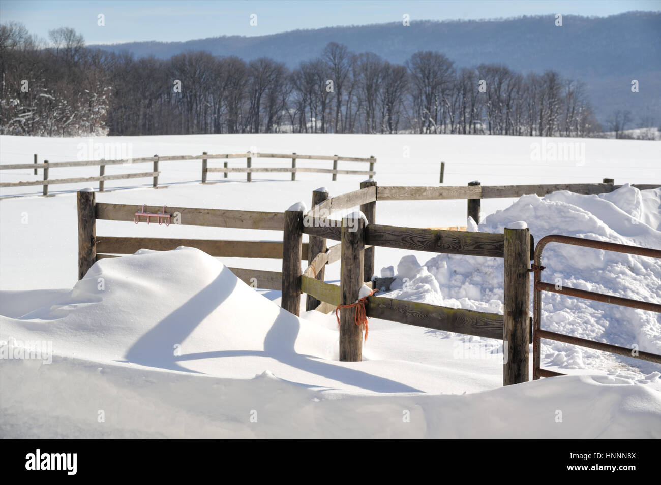 Bauernhof-Felder mit einer eingezäunten Weide in driftete Winterschnee für landwirtschaftliche Hintergründe, kahle Bäume und Berge, kopieren Sie Raum, Pennsylvania, PA, USA Stockfoto