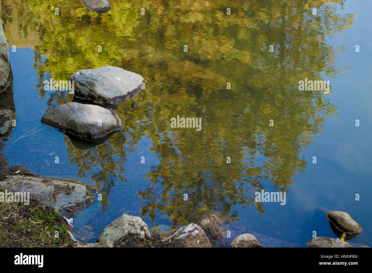 Blick auf einen Baum Spiegelbild auf einem See Stockfoto