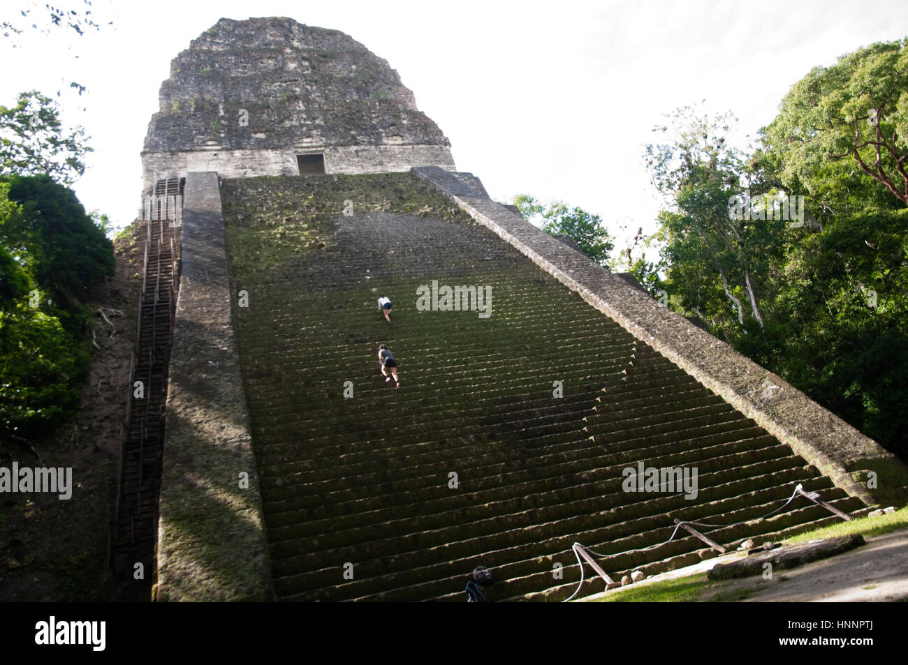 Tikal temple Fotos und Bildmaterial in hoher Auflösung Alamy