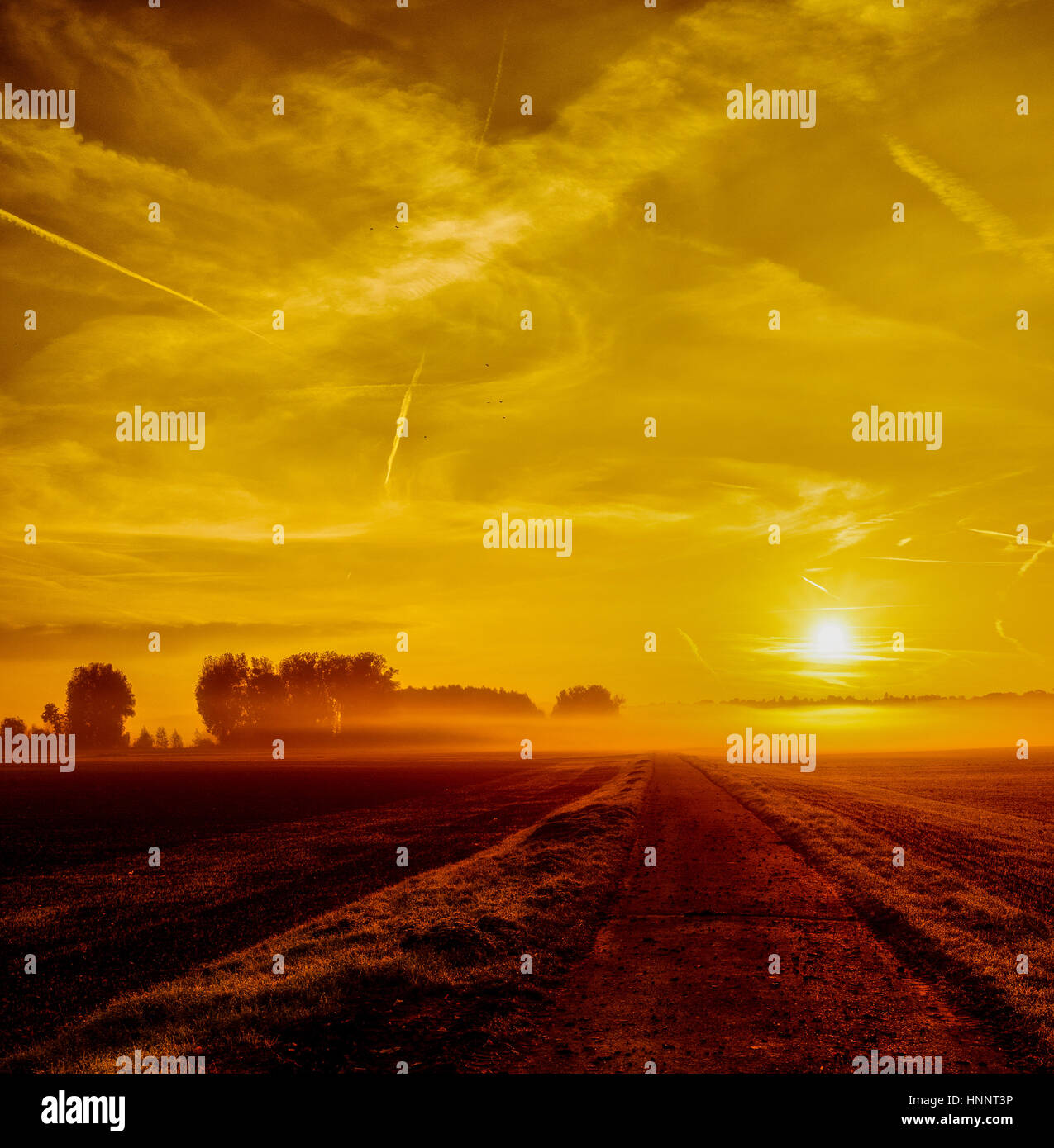 Helle Zukunft, herrlichen Morgen fine art Nebel golden Sunrise, malerischen Herbst Panoramablick auf epische, ländliche nebligen Landschaft, Pfad, Horizont, Bäume, Wolken, Stockfoto