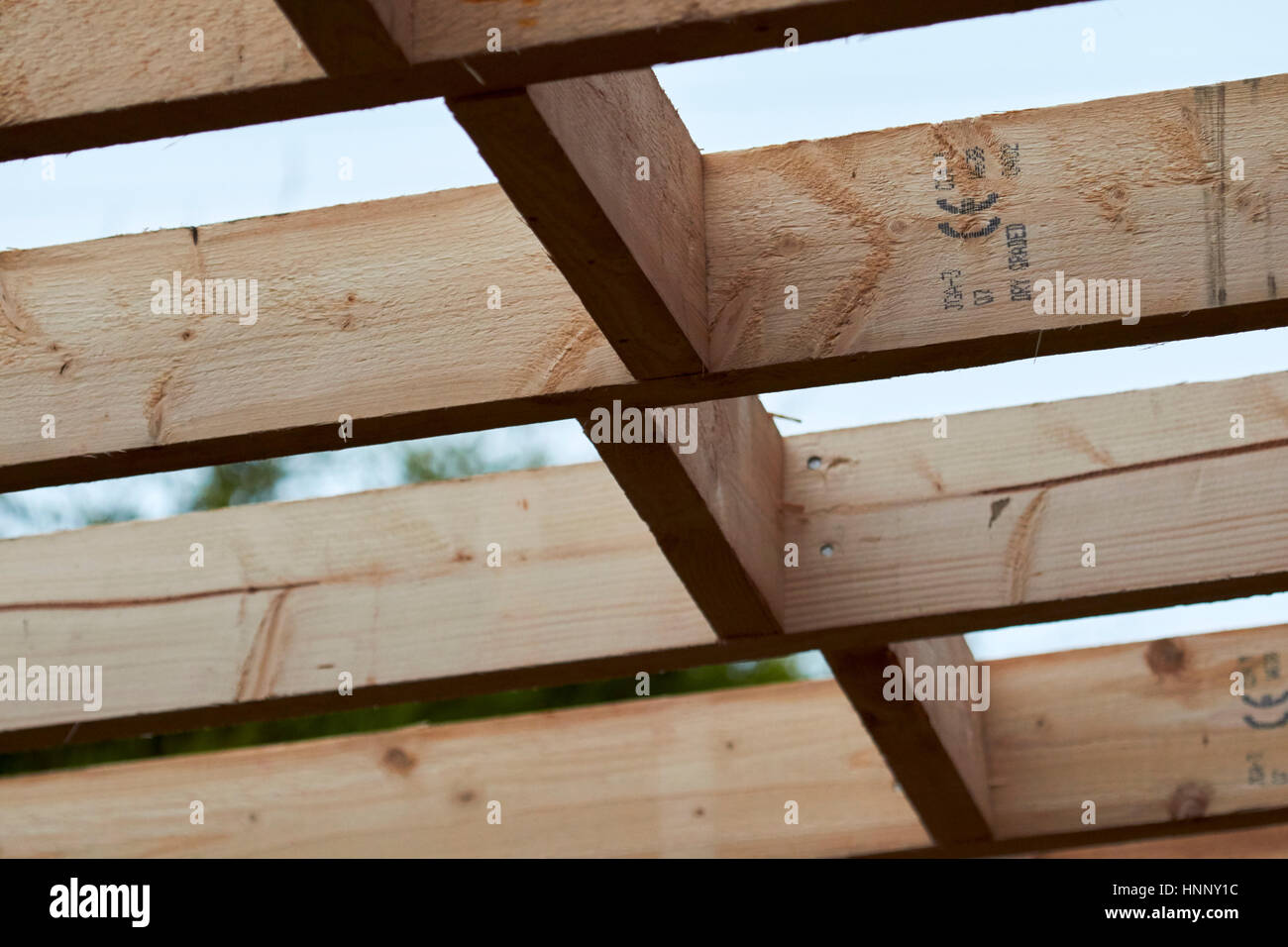 Reihe von Holzdach ce gestempelt Sparren Hölzer in Erweiterung Bau im Vereinigten Königreich Stockfoto