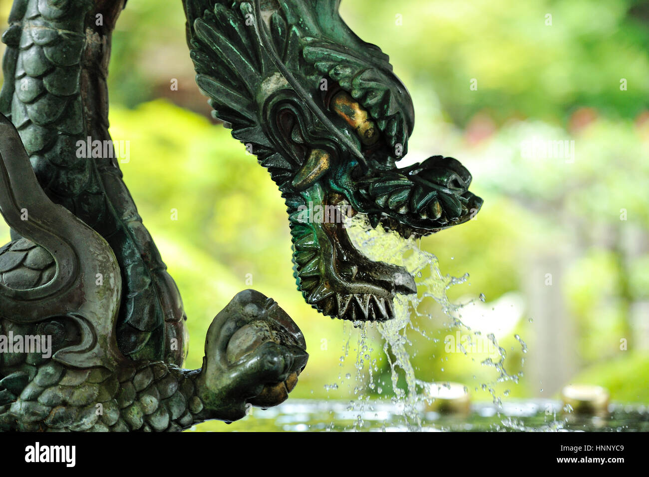 Drachen am Chozuya (Platz für rituelle Reinigung der Hände) Stockfoto