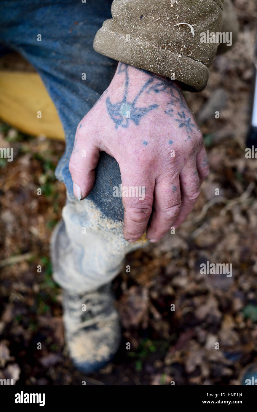 Arbeitende Hande Mit Schwalbe Tattoo Stockfotografie Alamy Arbeitende Hande Mit Schwalbe Tattoo Stockfotografie Alamy