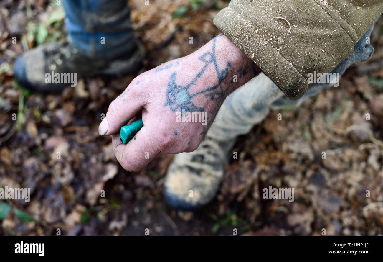 Arbeitende Hande Mit Schwalbe Tattoo Stockfotografie Alamy Arbeitende Hande Mit Schwalbe Tattoo Stockfotografie Alamy