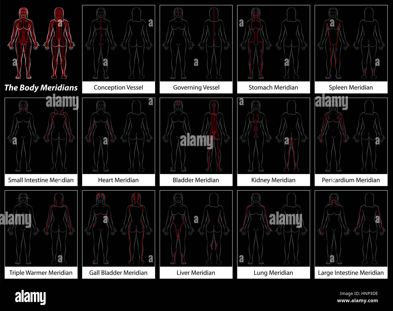 Körper Meridiane detailliert Diagramm schwarze Frau Stockfoto