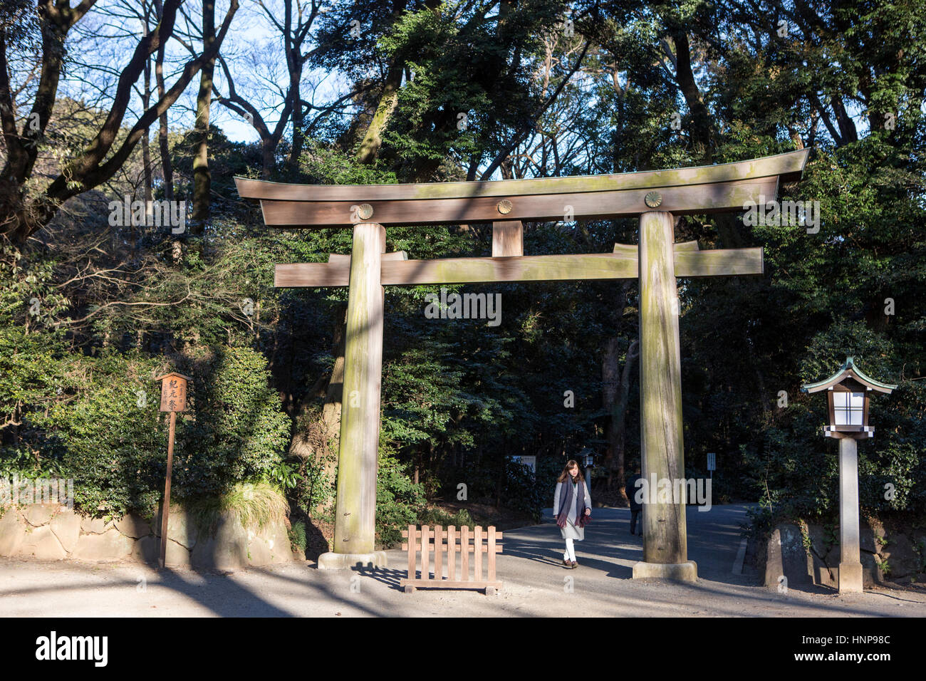 Meiji-Schrein, Tokyo Japan (明治神宮, Meiji-Jingū) - ein Torii-Tor entlang der bewaldeten Annäherung zum Meiji-Schrein Stockfoto