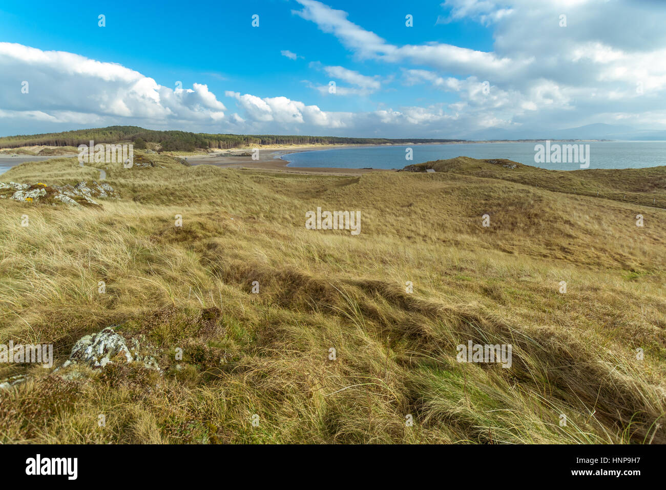 Blick auf Newborough Strand von Llanddwyn Island, Anglesey Stockfoto