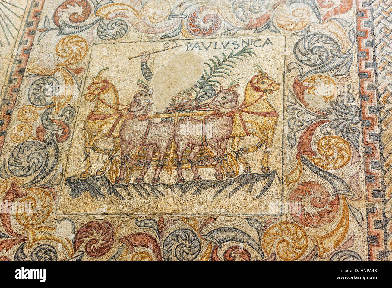 Merida, Provinz Badajoz, Extremadura, Spanien. Darstellung der Wagenlenker vier Fahrpferde Mosaiken.  Museo Nacional de Arte Romano. Nationales Museum von Rom Stockfoto
