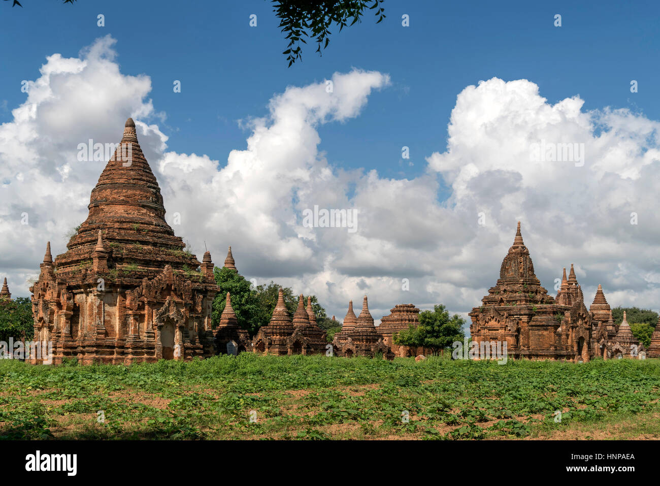 Tempel und Pagoden, Bagan, Mandalay, Myanmar Stockfoto