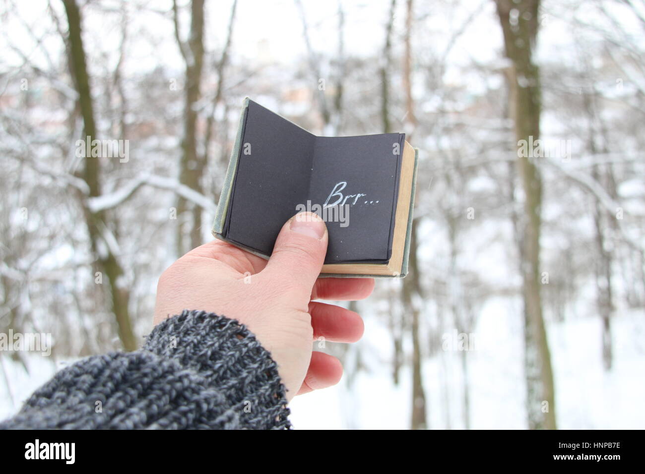 Winter oder kalte Idee. Hand hält ein Buch mit der Aufschrift Brr Hintergrund des Waldes Stockfoto