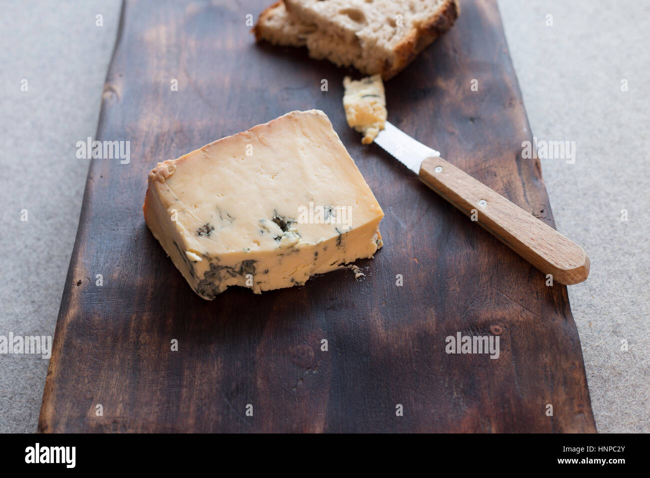 Fourme d'Ambert französischer Käse Stockfoto