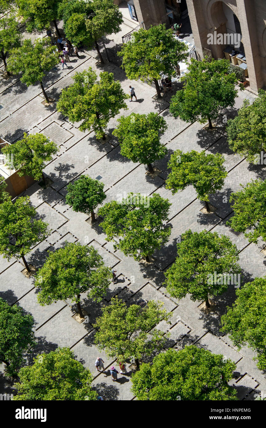 Blick auf den Patio de Los Naranjos (Orange Grove Patio) von La Giralda, Sevilla, Spanien Stockfoto