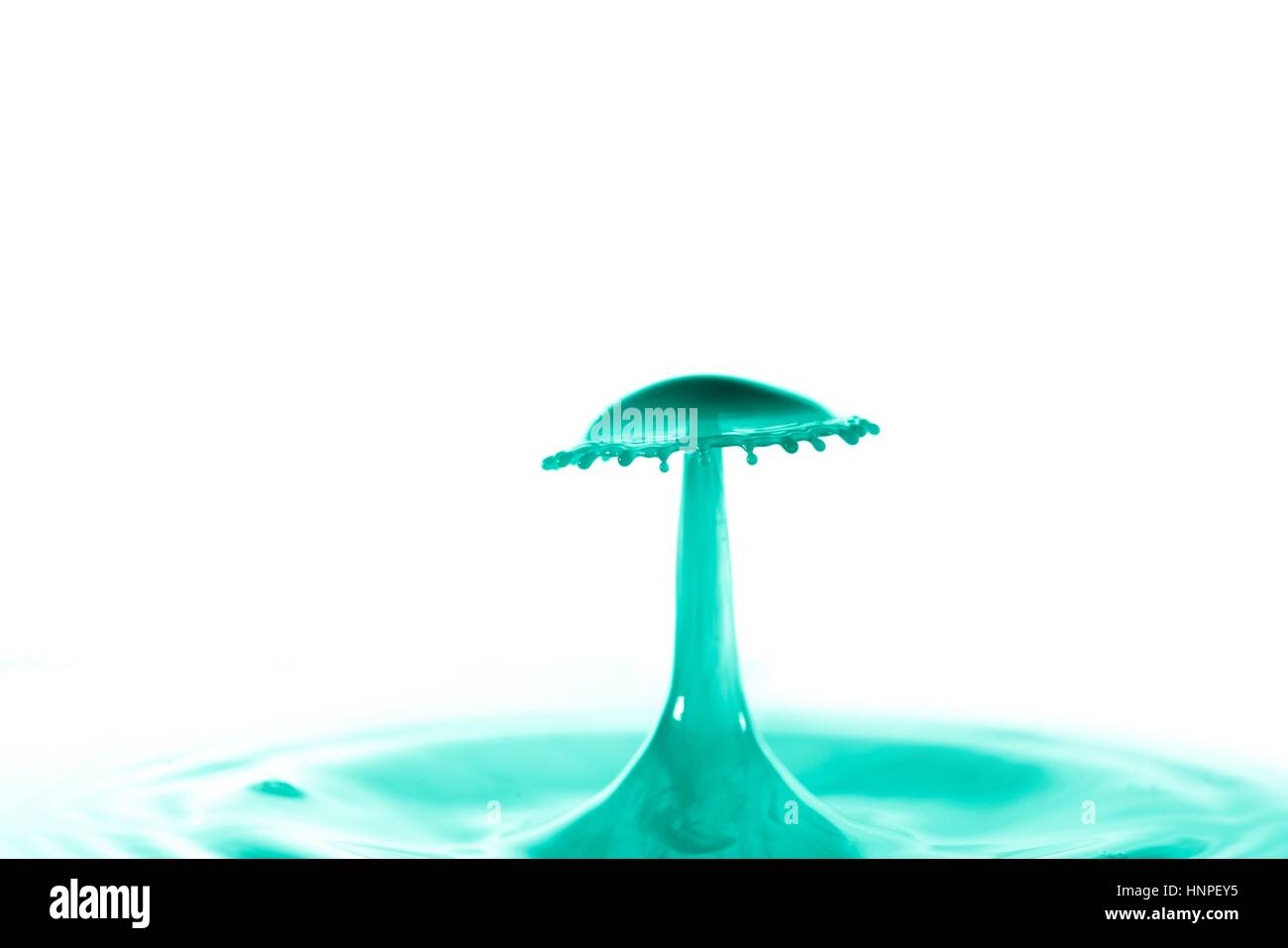 Wassertropfen fallen und tropft auf Wasser-Spiegel. Wasser Tropfen Splash und machen perfekte Kreise auf der Oberfläche. Wasser-Pilz Stockfoto