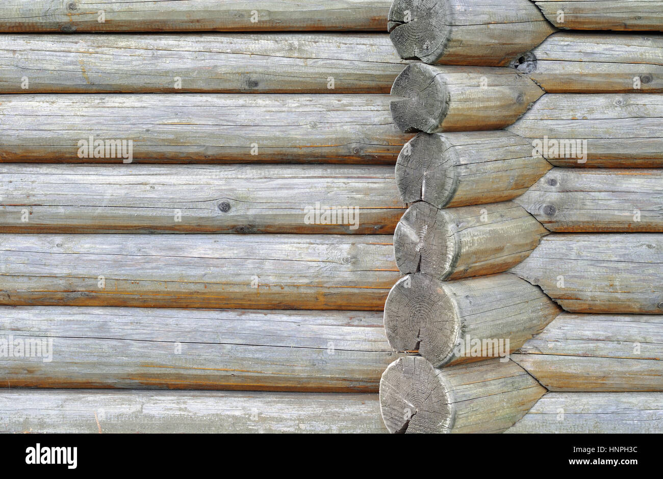 Holzwand aus Protokollen von sehr alten Haus Stockfoto