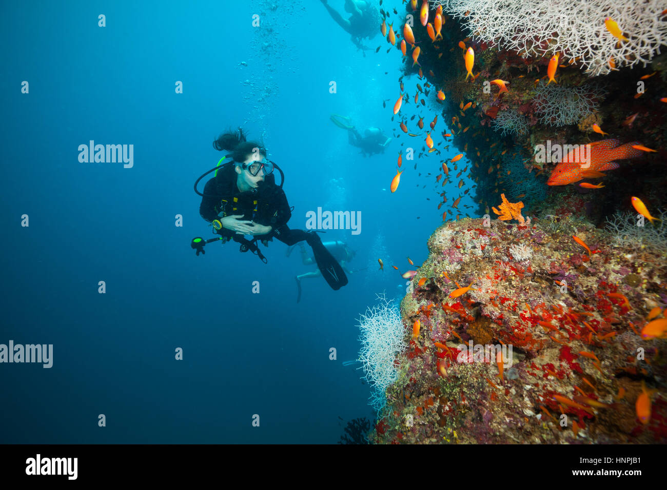 Junge Frau Taucher erforschen Korallenriffe, Atolle der Malediven, Indischer Ozean. Viel schöne farbige kleine Fische und Weichkorallen im Vordergrund Stockfoto